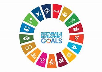 Image result for United Nations 17 Sustainable Development Goals.